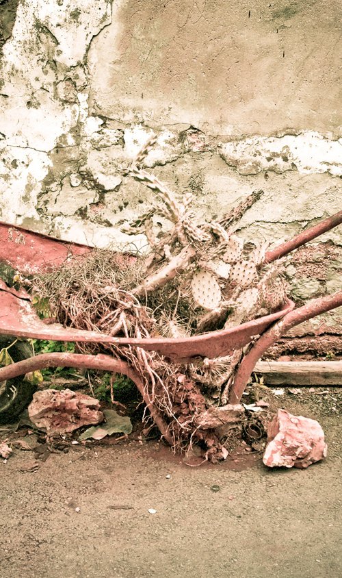 Old Wheel barrow by Abba Richman