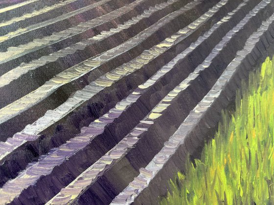 Plowed Field in Wachtum