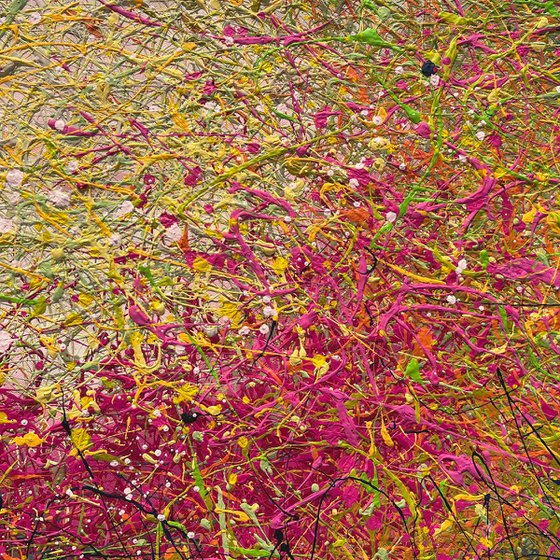 A Melody of Floral Dreams
