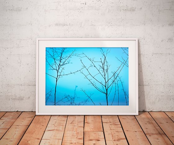 Twilight in the outdoors | Limited Edition Fine Art Print 1 of 10 | 60 x 40 cm