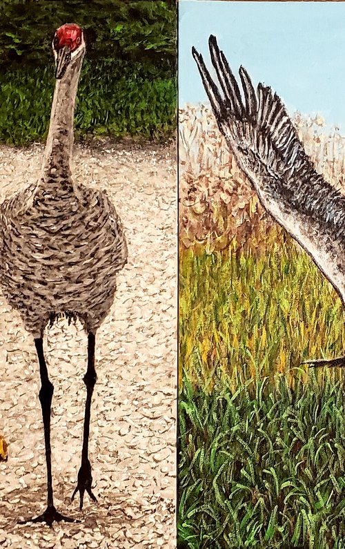 Sandhill Crane Diptych by Robbie Potter