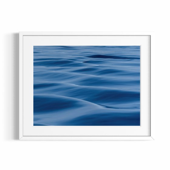 BLUE MARINE