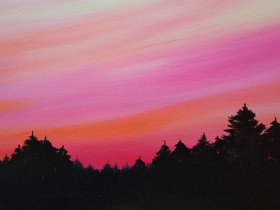 Pine Sunset