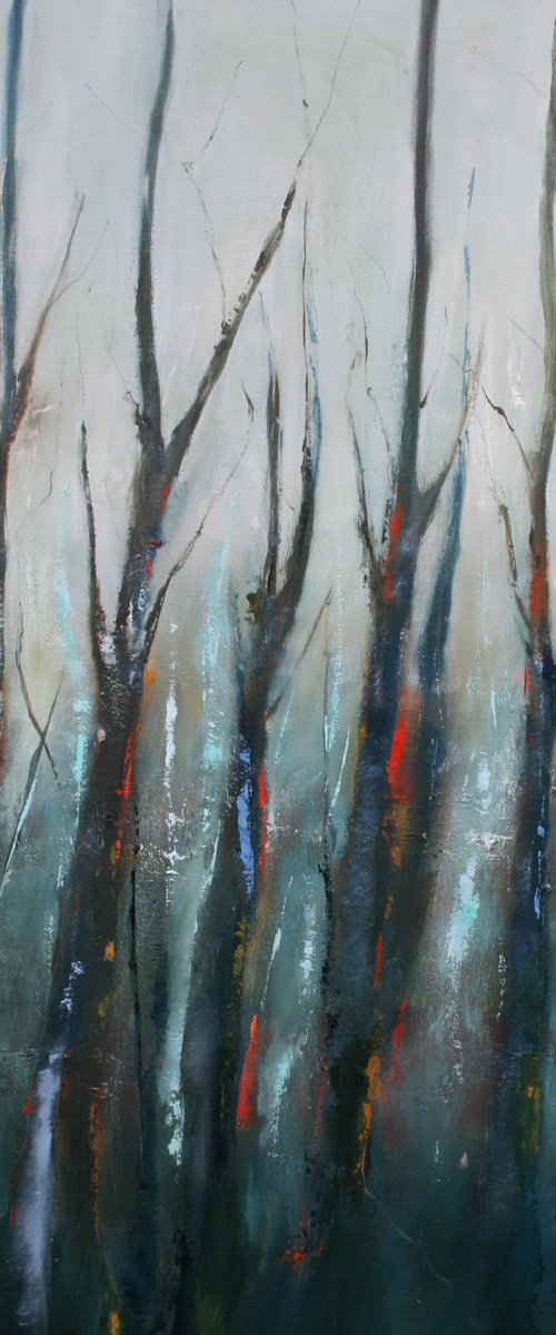 Woodland walk by Barry Andrews