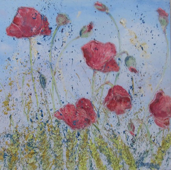 Poppies