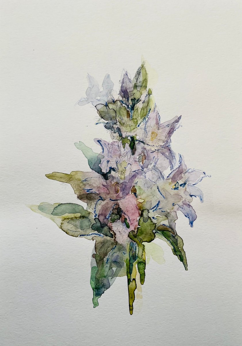 Impressionistic Still Life Drawing By Elena Klyan, 8 X 11, Bouquet Of Bluebells., Original Artwork