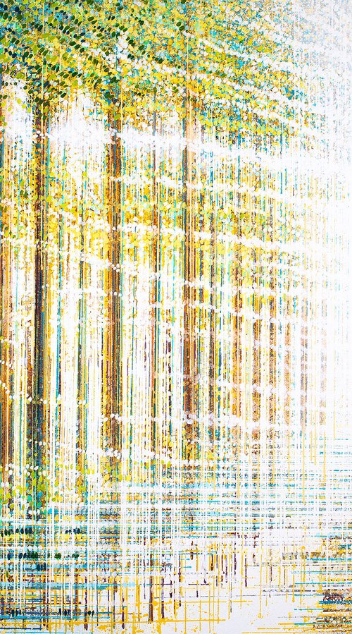 Light Fills the forest by Marc Todd