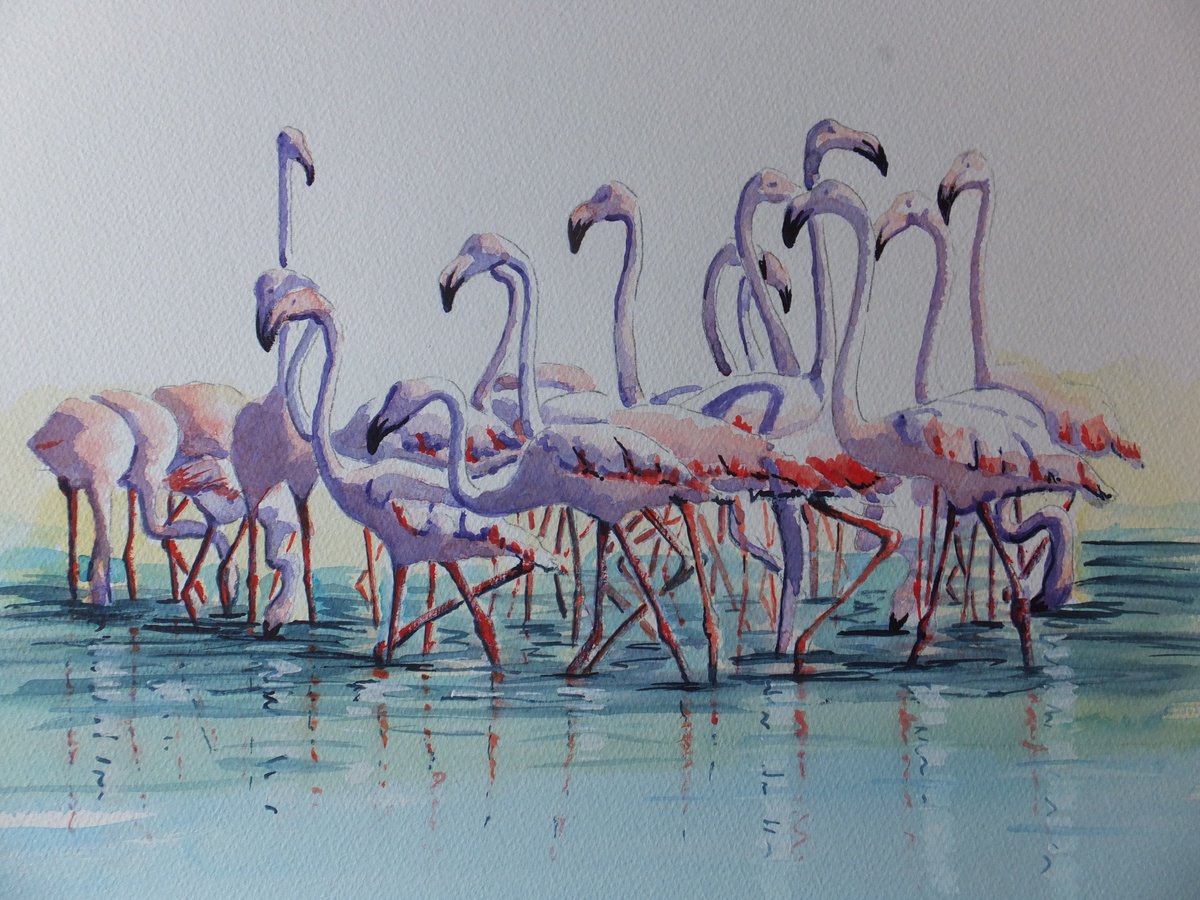 Photorealistic Animal Watercolour By David Harmer, 19 X 15, Flamingos In The Camargue, Original Artwork