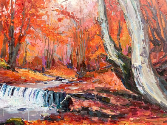 " river in autumn forest "