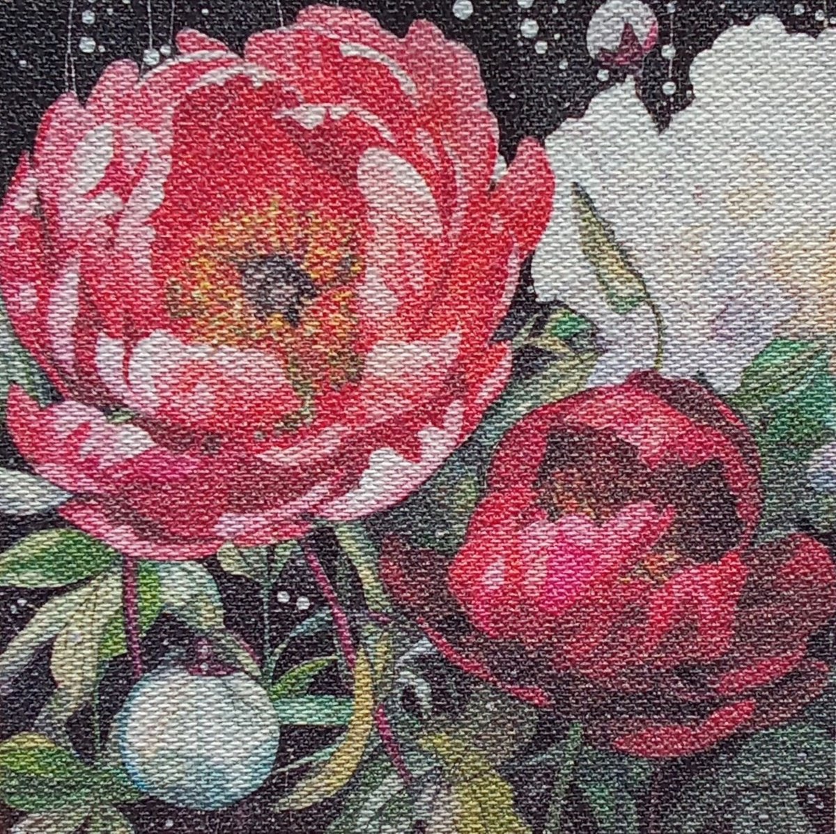 Miniature Magic peonies #2 by V+V Kniazievi