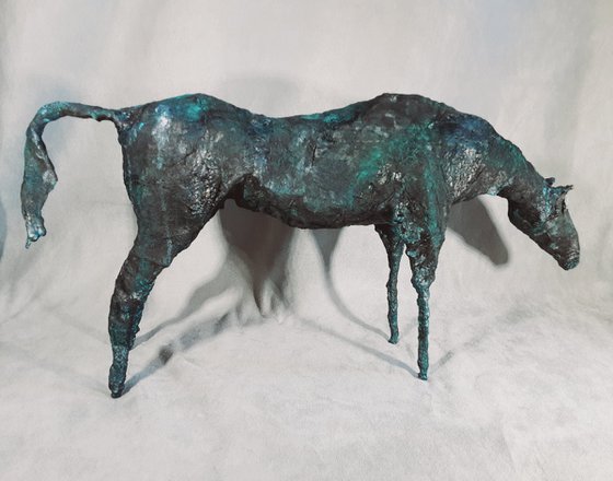 Equus