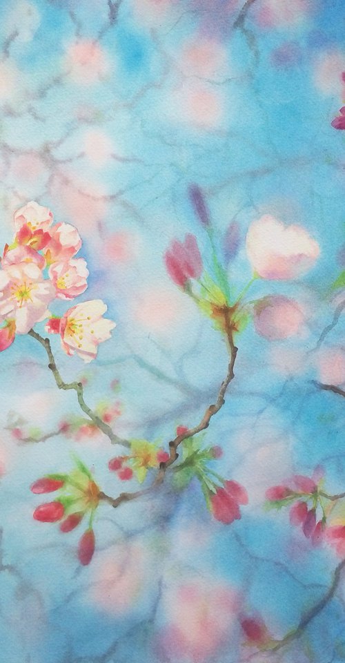 RESERVED - Cherry Blossoms - S by Olga Beliaeva Watercolour