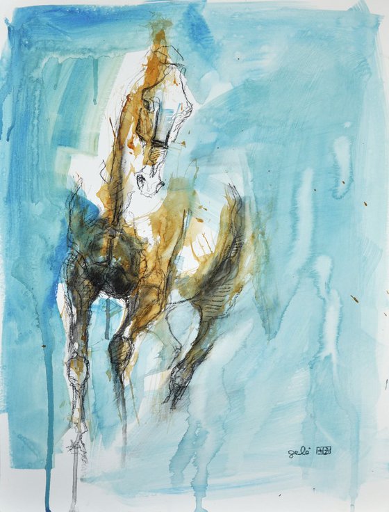 Equine Nude 51t
