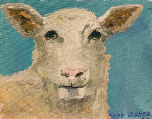 Sheep by Ryan  Louder