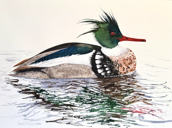 Twin Drake Green Winger Teal