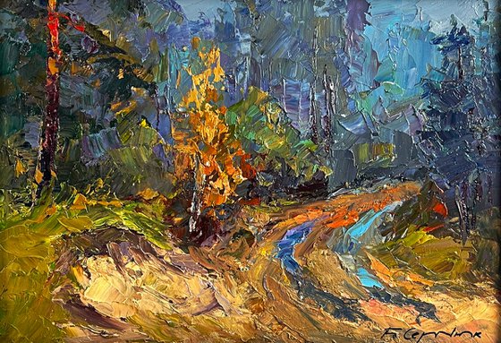 Road to the Autumn Forest