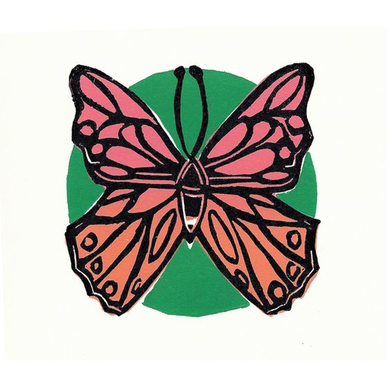 Pink and Orange Butterfly