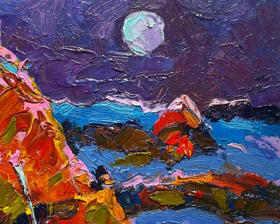 Moonlit Night in the Field