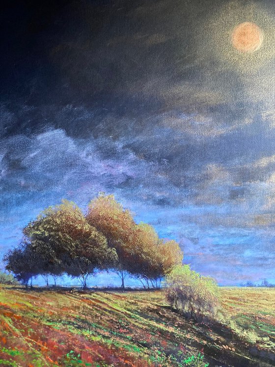 Southfield Copse