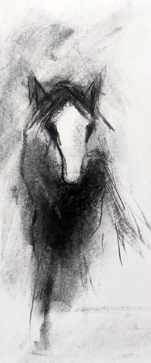 Horse by Lionel Le Jeune