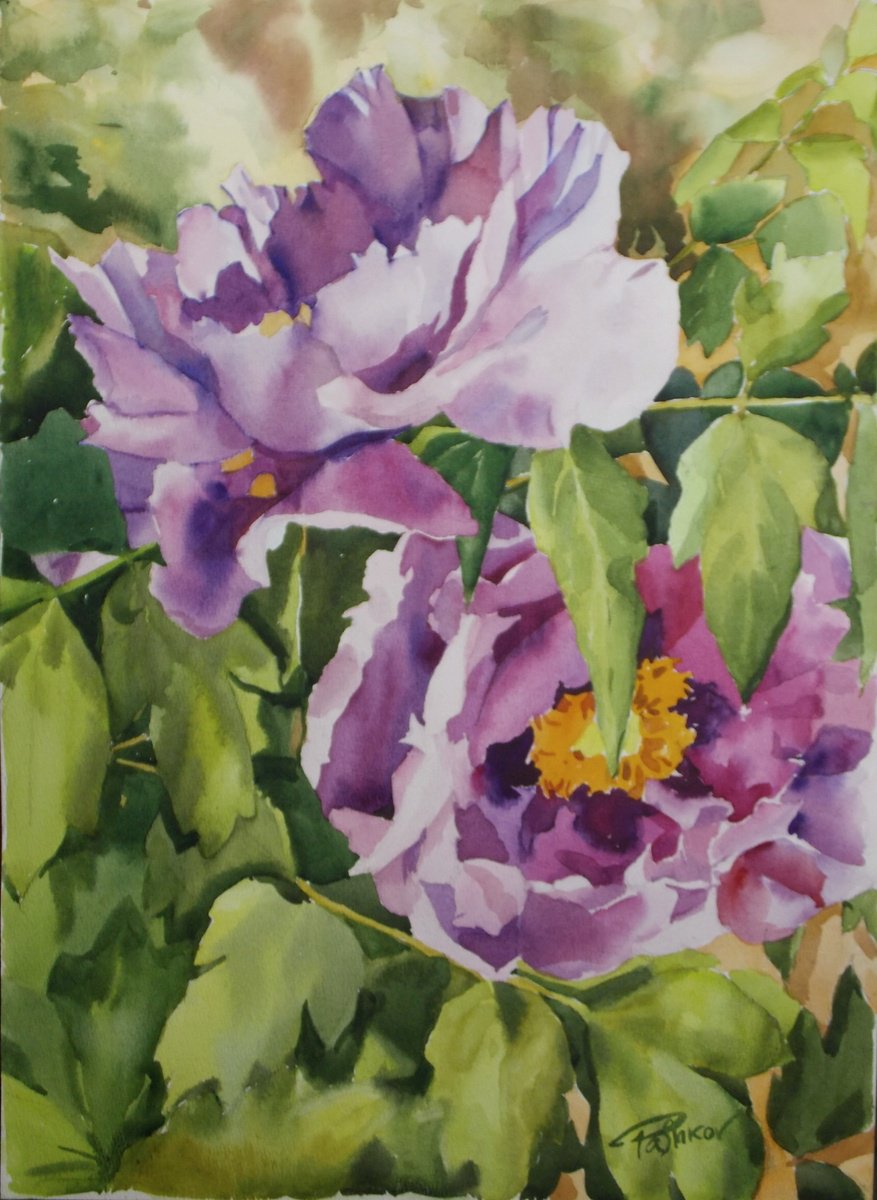 Impressionistic Watercolour , Magenta Peonies By Yurii Pashkov, 15 X 21, Artwork For Sale On Artfinder
