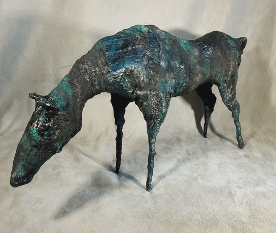 Equus
