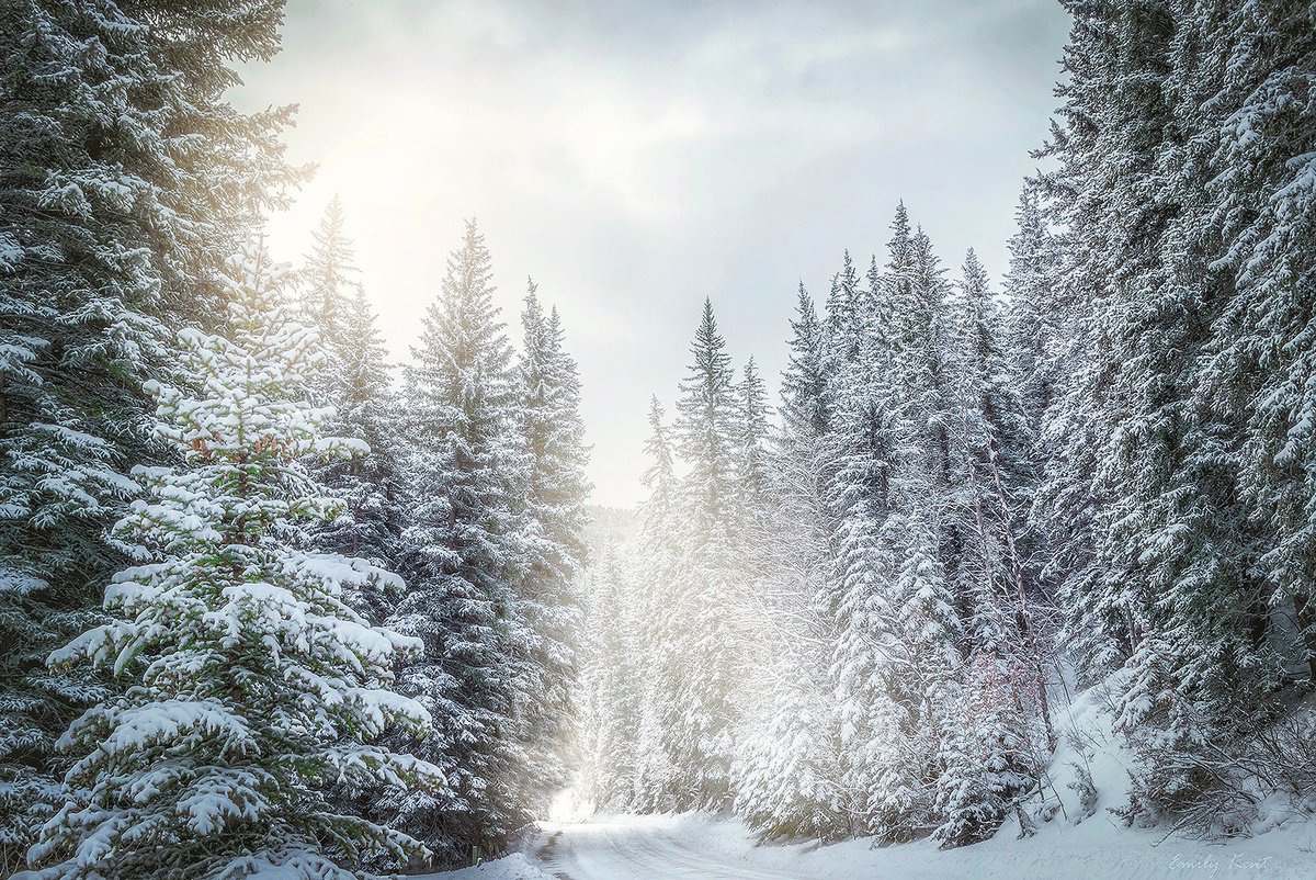 Photorealistic Landscape Photograph By Emily Kent, 36 X 24, Winter Sundance, Original Artwork