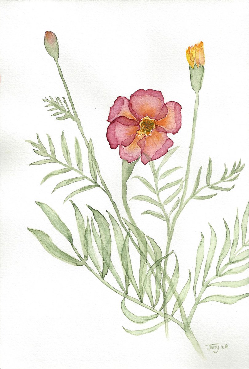 Soft petals#15 by Jing Tian