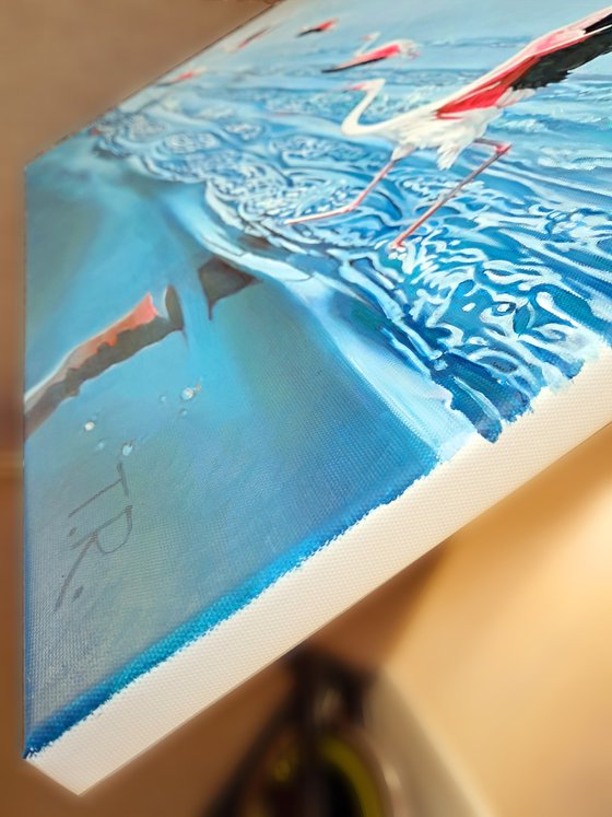 WING-SURFERS (PINK FLAMINGOES)