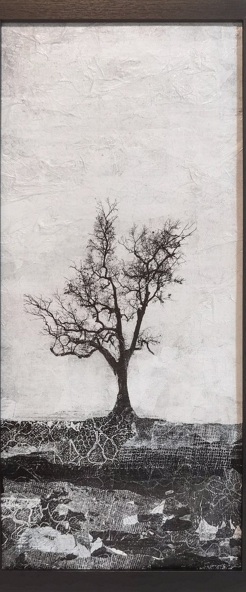 Tranquility by Roseanne Jones