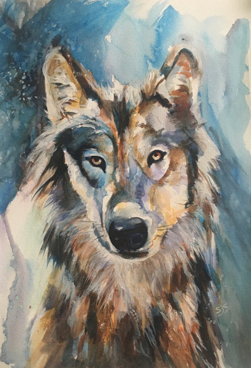 Lone Wolf by Sarah Stowe