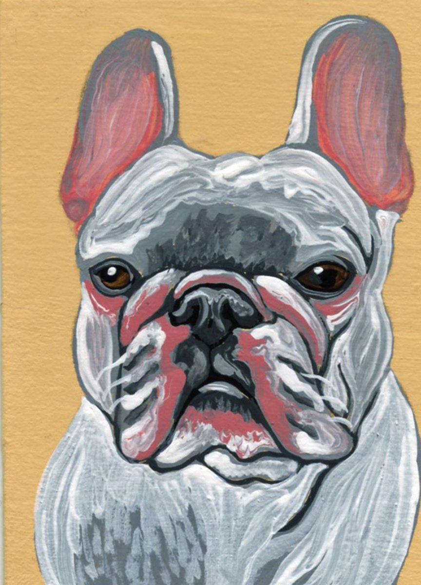 ACEO ATC Original Miniature Painting White French Bulldog Pet Dog Art-Carla Smale by carla smale