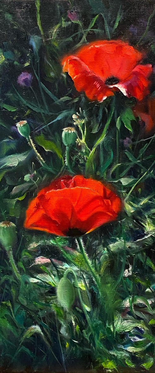 Beauty in the shadow by Farzaneh Maddahi