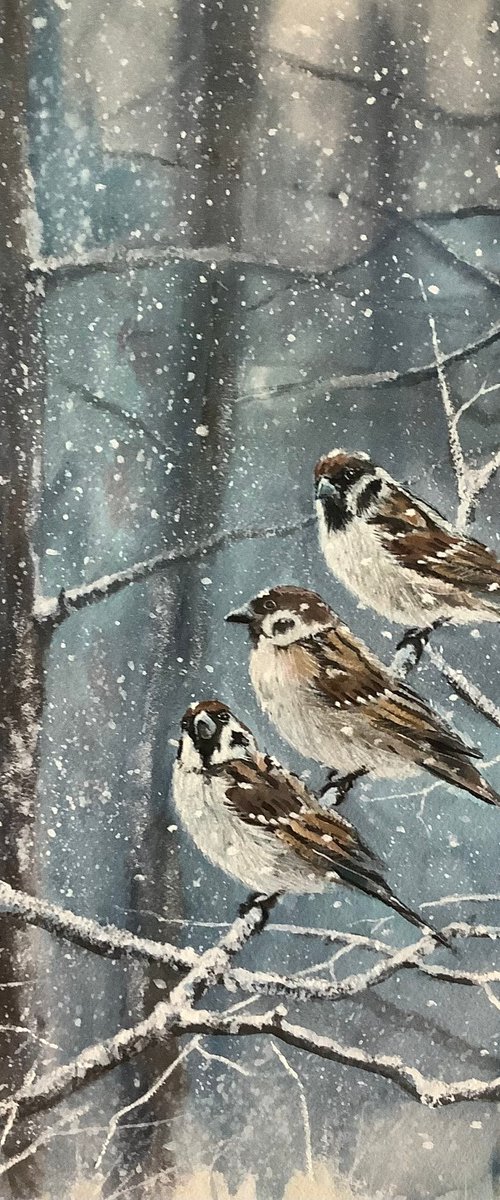 Winter scene, Sparrow’s by Darren Carey