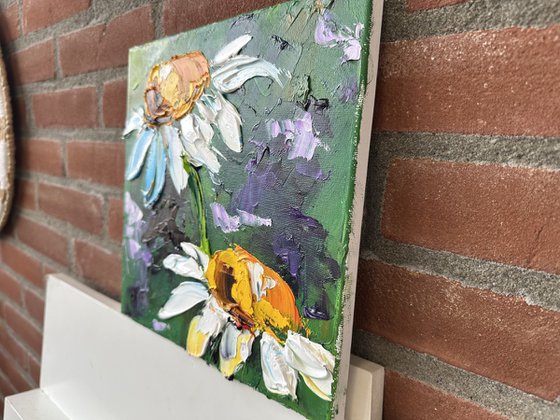 Two daisies