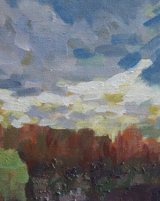 Original Oil Painting Wall Art Signed unframed Hand Made Jixiang Dong Canvas 25cm × 20cm Landscape Clouds over South Park Oxford Small Impressionism Impasto