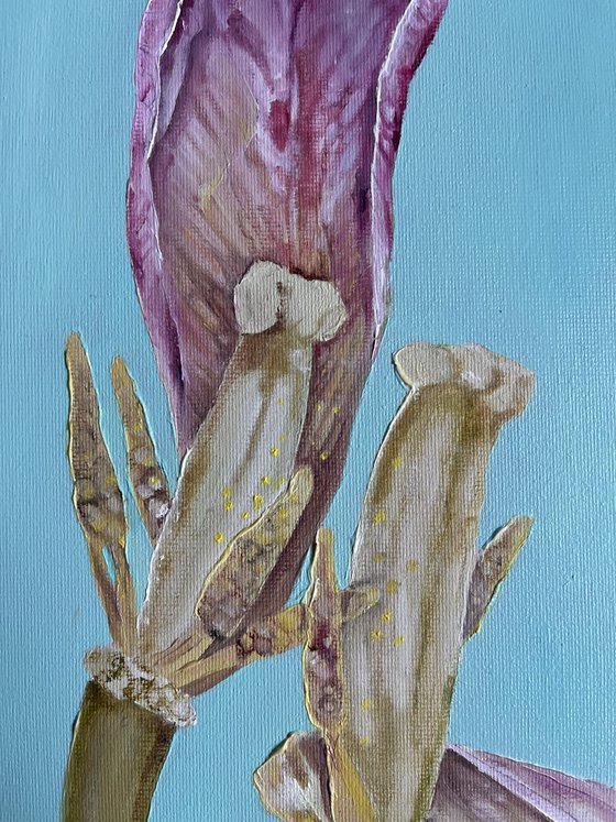Tiffany’s dance 30x20 cm