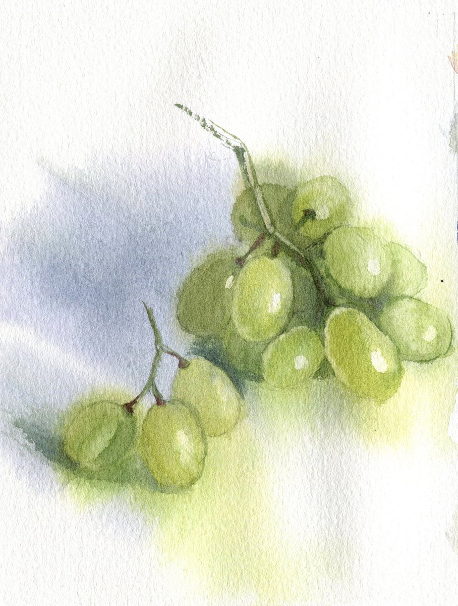 Green Grapes by SVITLANA LAGUTINA