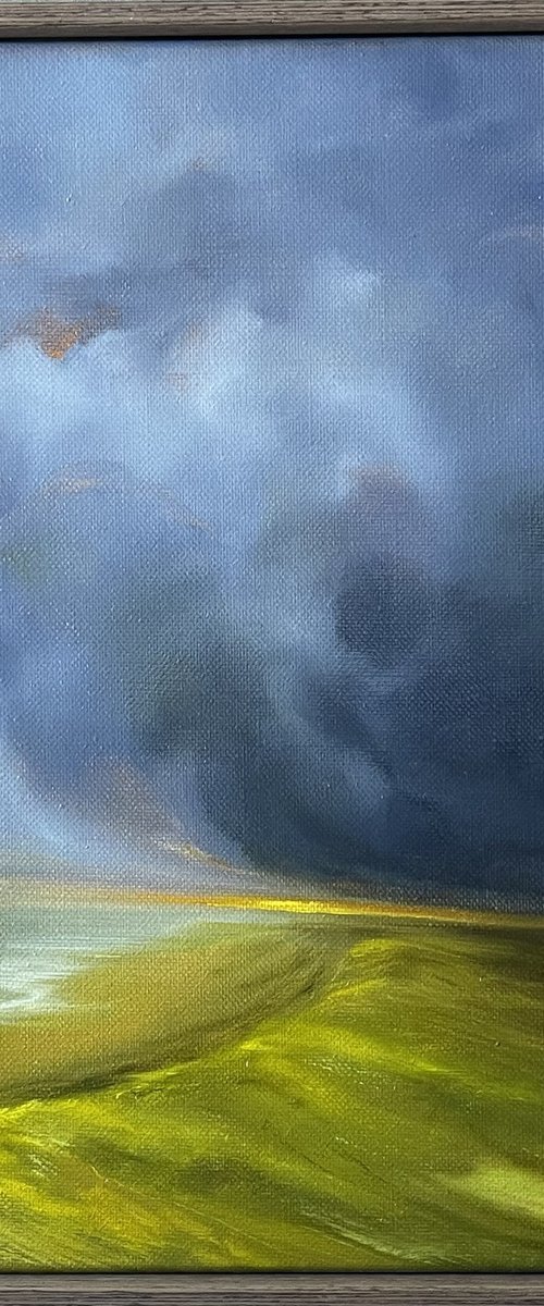 Summer storm by Daiva Karaliute