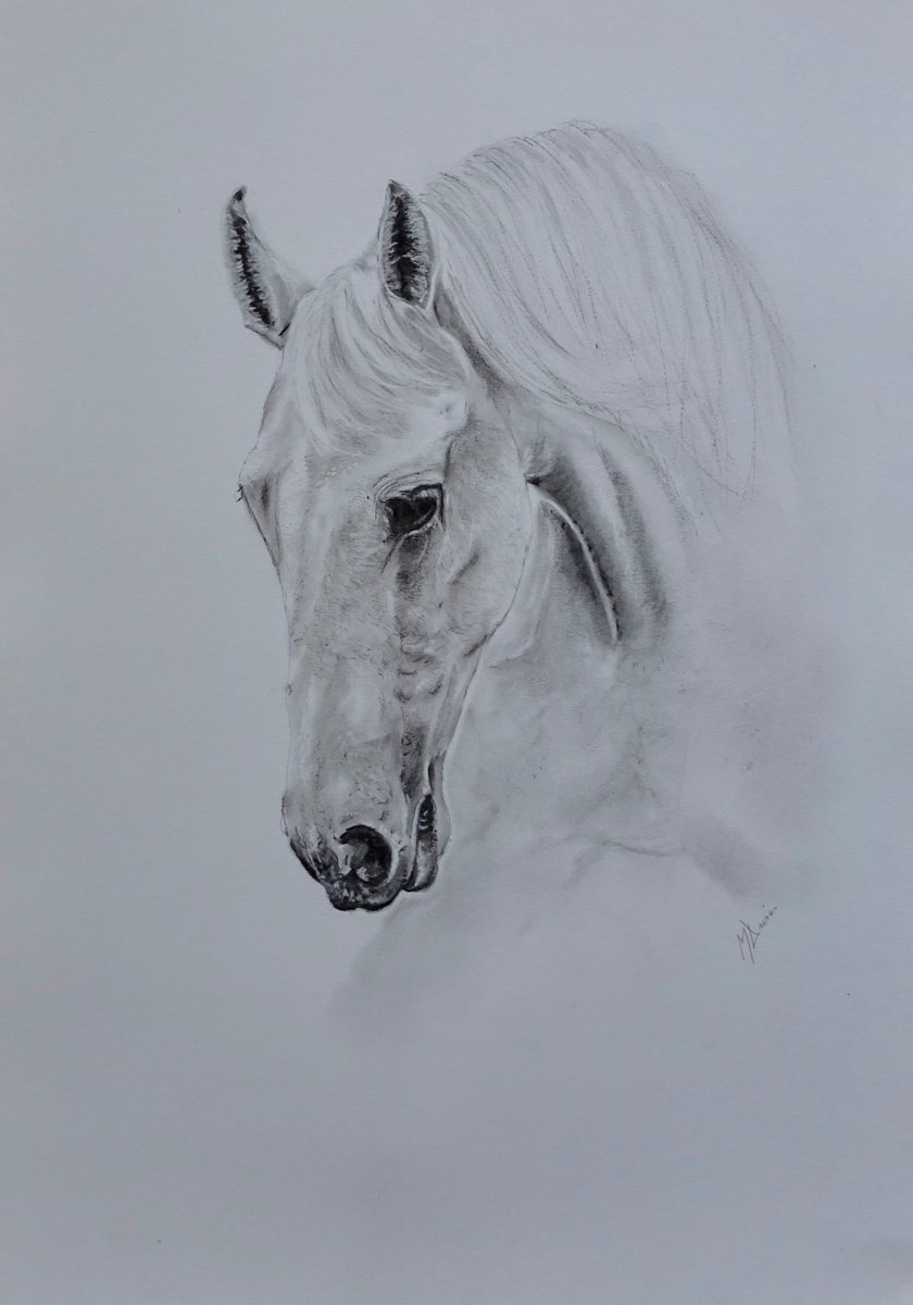 The White Horse by Mel Davies Original Art