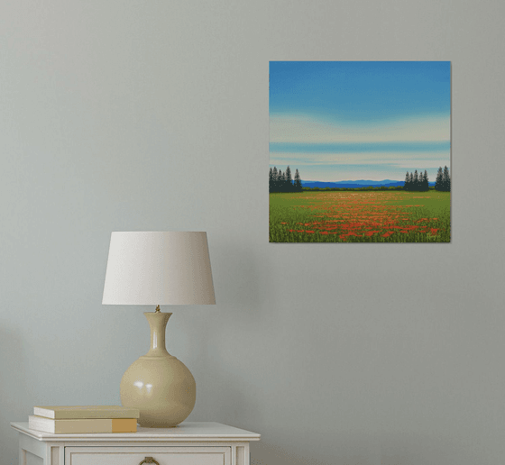 Poppy Field Meadow