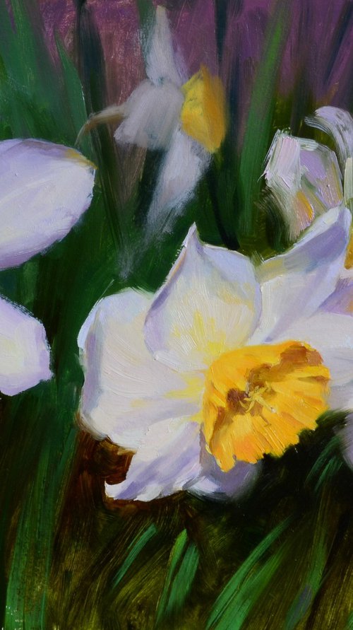 Daffodils by Ruslan Kiprych