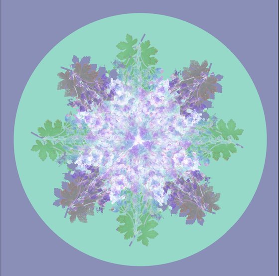 Botanical Mandala #5