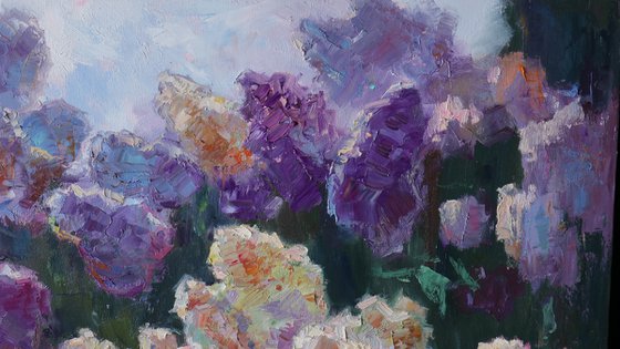 Sunny Lilac Branches