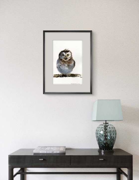 Little owl on a branch #17