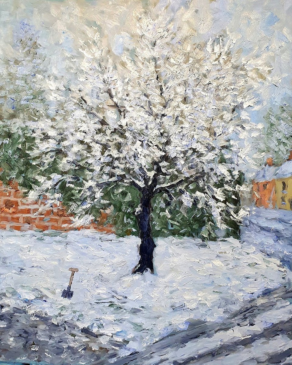 Botanical Oil Painting By Colin Ross Jack, 20 X 24, Snow Tree, Original Artwork