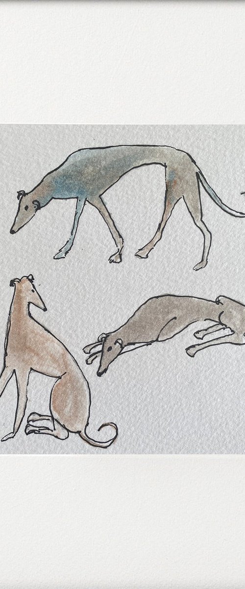 Greyhounds relaxing by Teresa Tanner