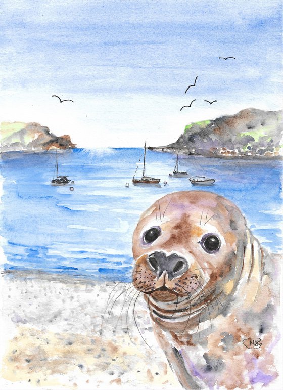 Grey Seal at Lulworth Cove, Dorset