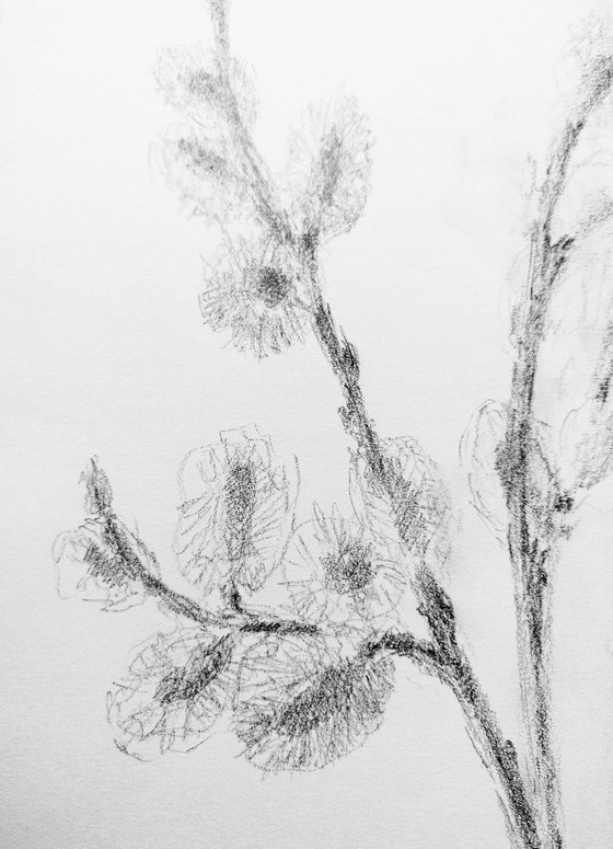 Springtime#2. Original pencil drawing.