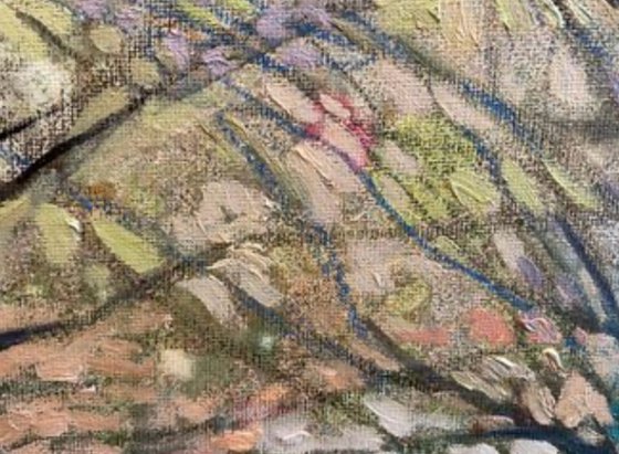 Lace of the French Alps